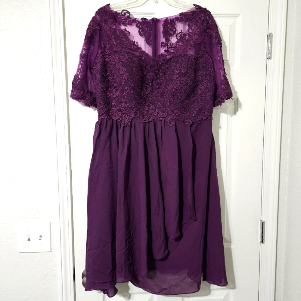 Plun Sheer Lace Occasion Dress